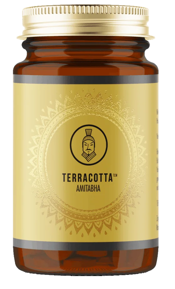 Amitabha - Terracotta TCM